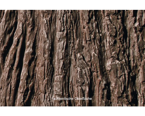 Gros plan d''une surface avec une structure d''écorce d''arbre