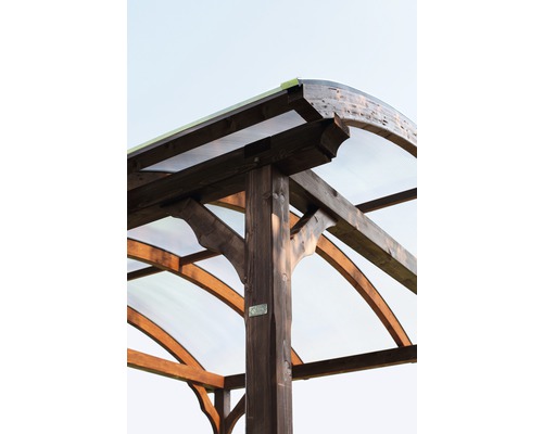 Vue détaillée d''un pavillon de jardin en bois avec un toit transparent