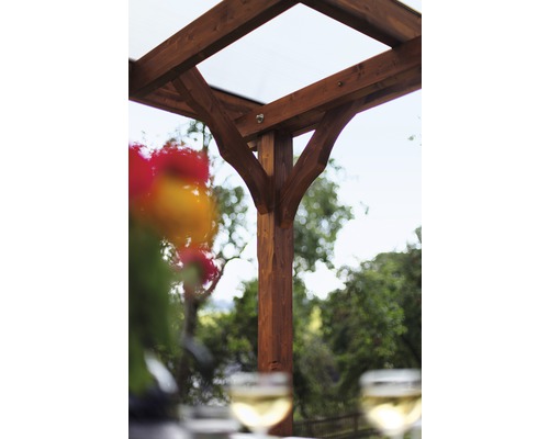 Vue détaillée d''une pergola en bois avec un toit transparent et des plantes en arrière-plan