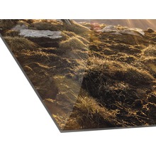 Gros plan d''une toile photo avec des herbes et des pierres