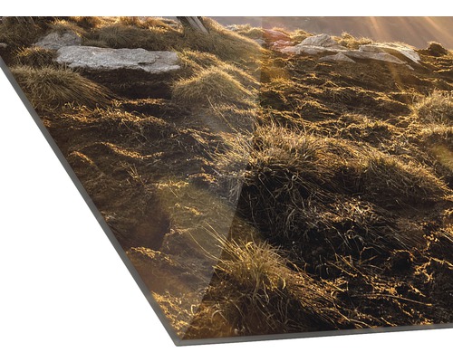 Detailaufnahme einer Foto Leinwand mit Gräsern und Steinen