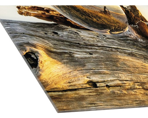 Dekobild mit einem Baumstamm und einer Glaskugel