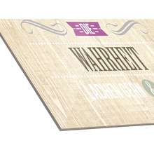 Wandbild mit dem Schriftzug ''Die Wahrheit lachen gern''