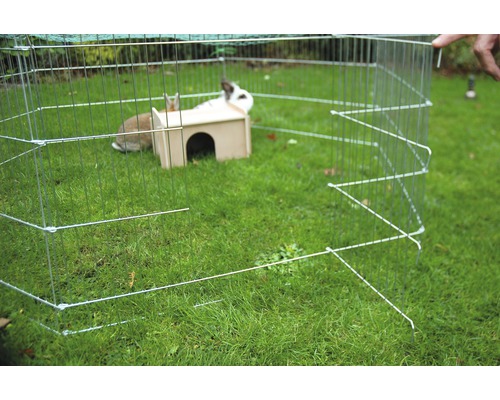 Parc pour petits animaux sur gazon avec lapins et cabane en bois