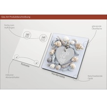 Glasbild mit Muschelmotiv, inklusive Wandhalterung