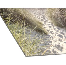 Acrylglasbild einer Dünenlandschaft mit Gras und Sand