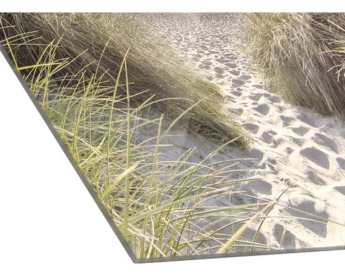 Acrylglasbild einer Dünenlandschaft mit Gras und Sand