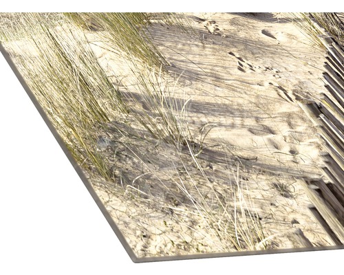 Panneau décoratif avec motif de dunes de sable et d''oyat