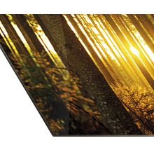Dekorplatte mit Waldmotiv und Sonnenschein