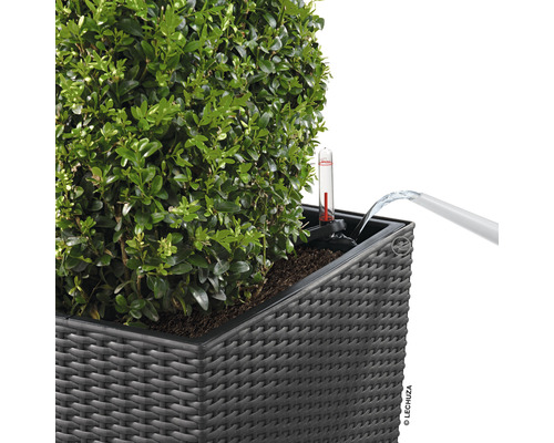 Bewässerung eines Pflanzenkübels mit Wasserstandsanzeige