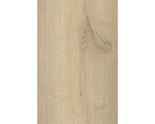 Texture de bois pour projets de construction ou de rénovation