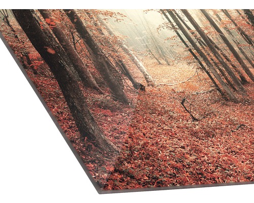 Fotodruck mit einem Wald im Herbst