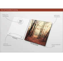 Glasbild mit Waldmotiv, inklusive Abstandshalter und Aufhängevorrichtung