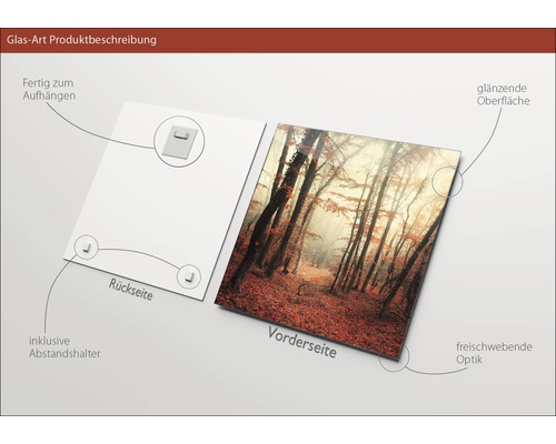 Image en verre avec motif de forêt, supports d''écartement et dispositif de suspension inclus