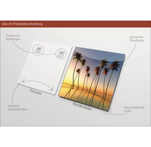 Glasbild mit Palmenmotiv, inklusive Wandhalterung