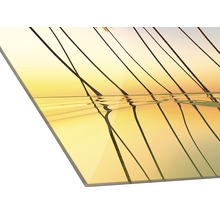 Acrylglasbild mit Palmen bei Sonnenuntergang