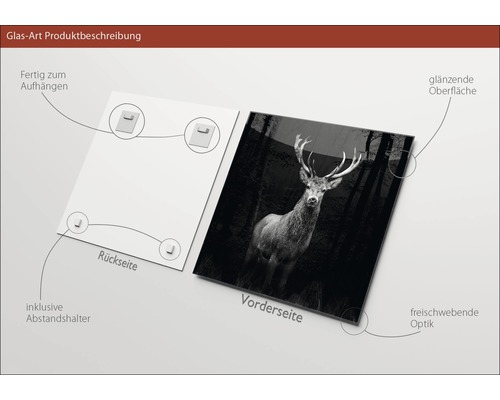 Image en verre avec motif de cerf, surface brillante et support mural