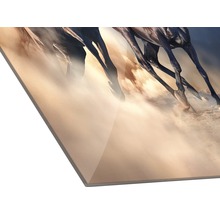 Wandbild mit Pferde-Motiv auf Acrylglas