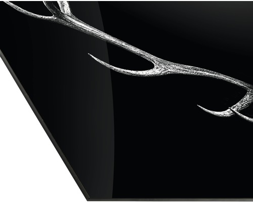 Objet de décoration bois de cerf sur fond noir