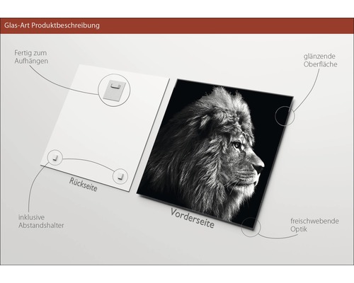 Glasbild mit Löwenmotiv, inklusive Wandhalterung und glänzender Oberfläche