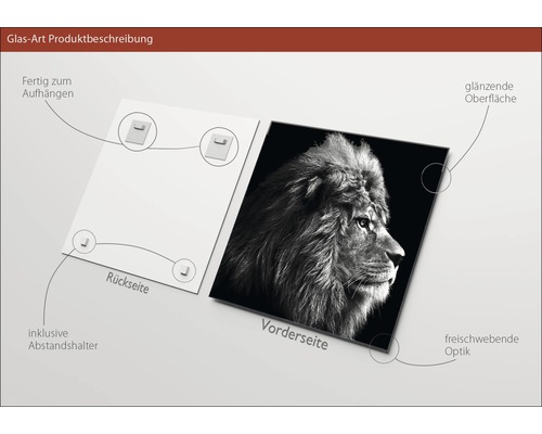 Tableau en verre avec motif de lion, y compris des supports d''écartement et une surface brillante