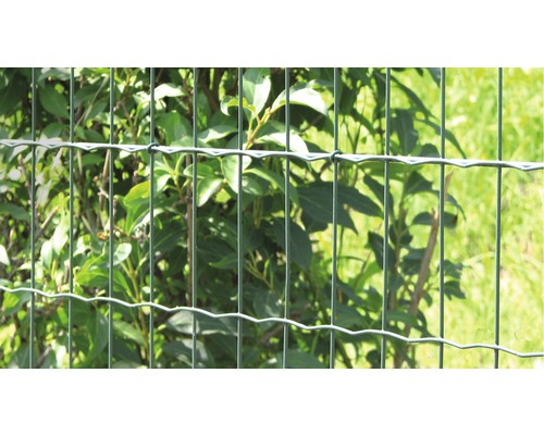 Clôture métallique devant des buissons dans le jardin