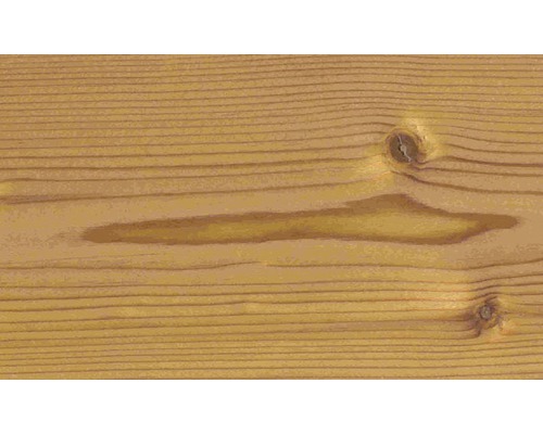 Texture du bois avec des nœuds