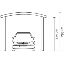 Carport pour un véhicule avec toit incurvé SKAN HOLZ, 376x541 cm, nature-thumb-2