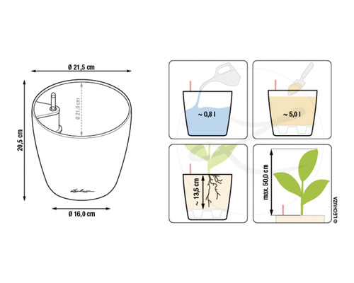 Illustration d''un pot de fleurs avec des indications de dimensions et des conseils d''arrosage et de plantation