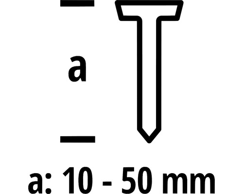 Nagellänge zwischen 10 und 50 Millimeter