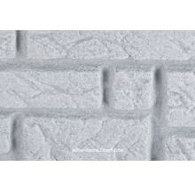 Gros plan d''un revêtement mural en maçonnerie avec une surface authentique.