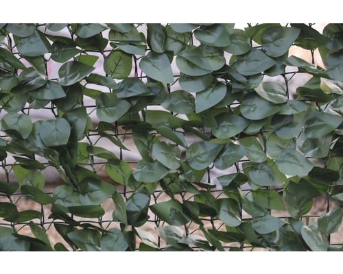 Lierre artificiel comme tapis d''intimité