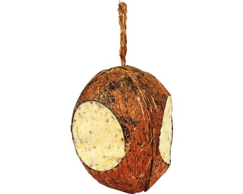 Aliments pour oiseaux dans une noix de coco à suspendre