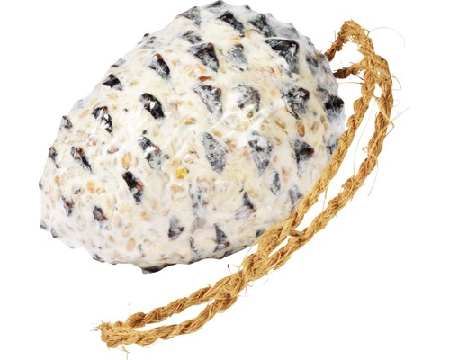 Cône de nourriture pour oiseaux avec suspension par corde