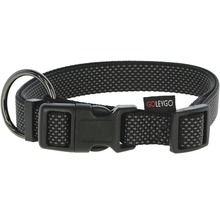 Hundehalsband mit Schnalle und Ring