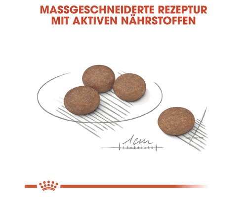 Hundefutter-Kroketten mit aktiven Nährstoffen