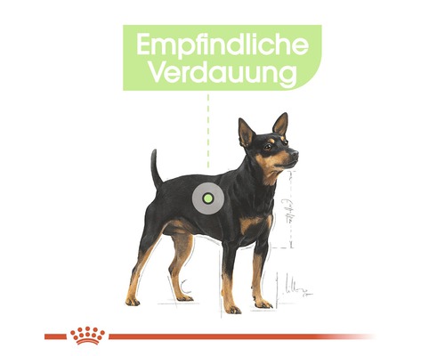 Illustration eines Hundes mit dem Hinweis Empfindliche Verdauung