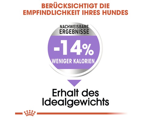 Weniger Kalorien für Hunde: bis zu 14% weniger Kalorien