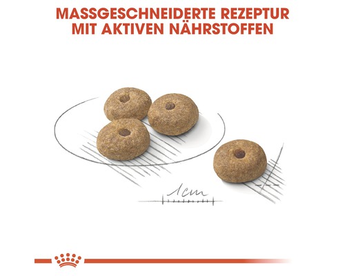 Hundefutterkroketten mit Loch