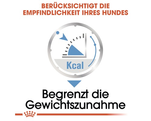 Kaloriengehalt im Hundefutter zur Begrenzung der Gewichtszunahme