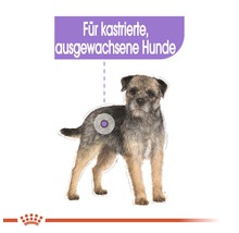 Illustration eines Hundes mit dem Hinweis: Für kastrierte, ausgewachsene Hunde