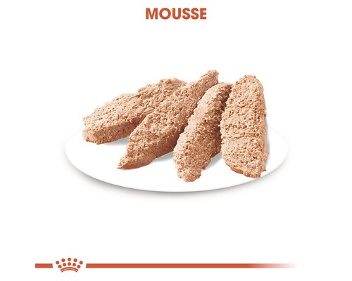 Katzenfutter Mousse auf einem Teller