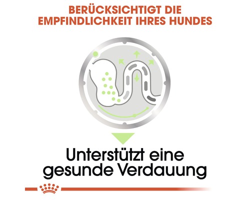 Berücksichtigt die Empfindlichkeit Ihres Hundes. Unterstützt eine gesunde Verdauung.