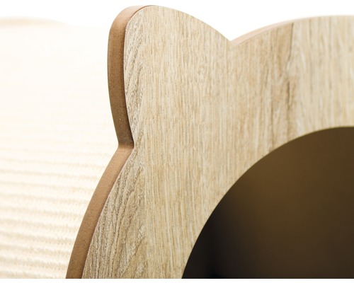 Vue détaillée d''un arbre à chat avec une grotte