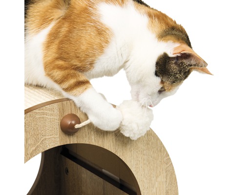 Chat jouant avec une balle sur un meuble pour chat