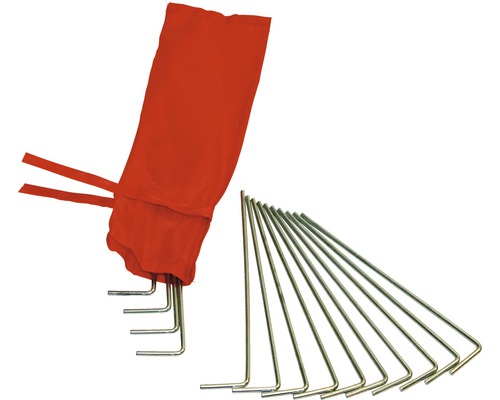 Clous de tente avec sac de rangement