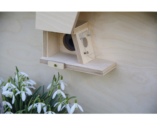 Nichoir en bois avec perce-neige