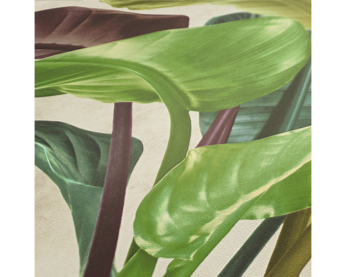 Nahaufnahme von tropischen Blättern als Wanddekoration