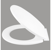 Toilettendeckel aus Kunststoff, geöffnet