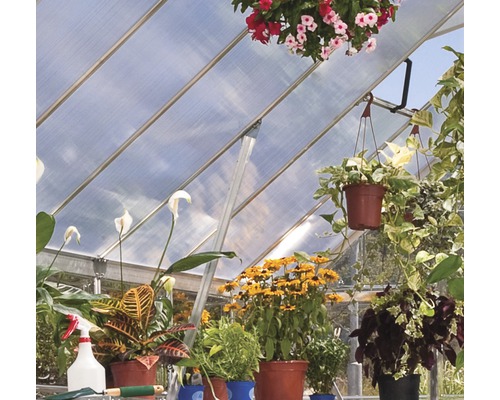 Intérieur d''une serre avec des plantes et des outils de jardinage